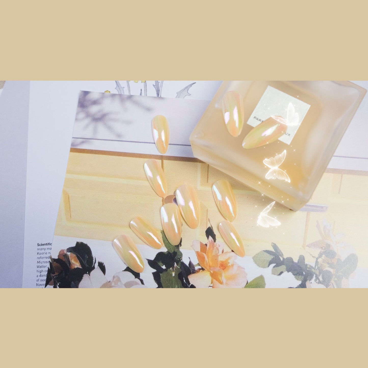 Adesivo de unha rosa laranja Aurora temperamento laranja leite para unhas postiças à prova d'água removível |365nails