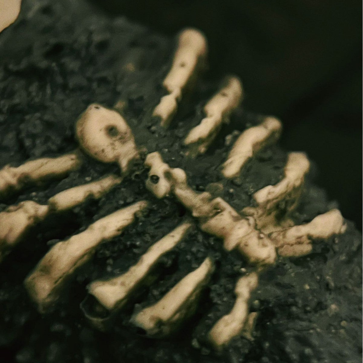 Title Grave Ash Relic | Skeletal Relief Art Series Press-On Nails