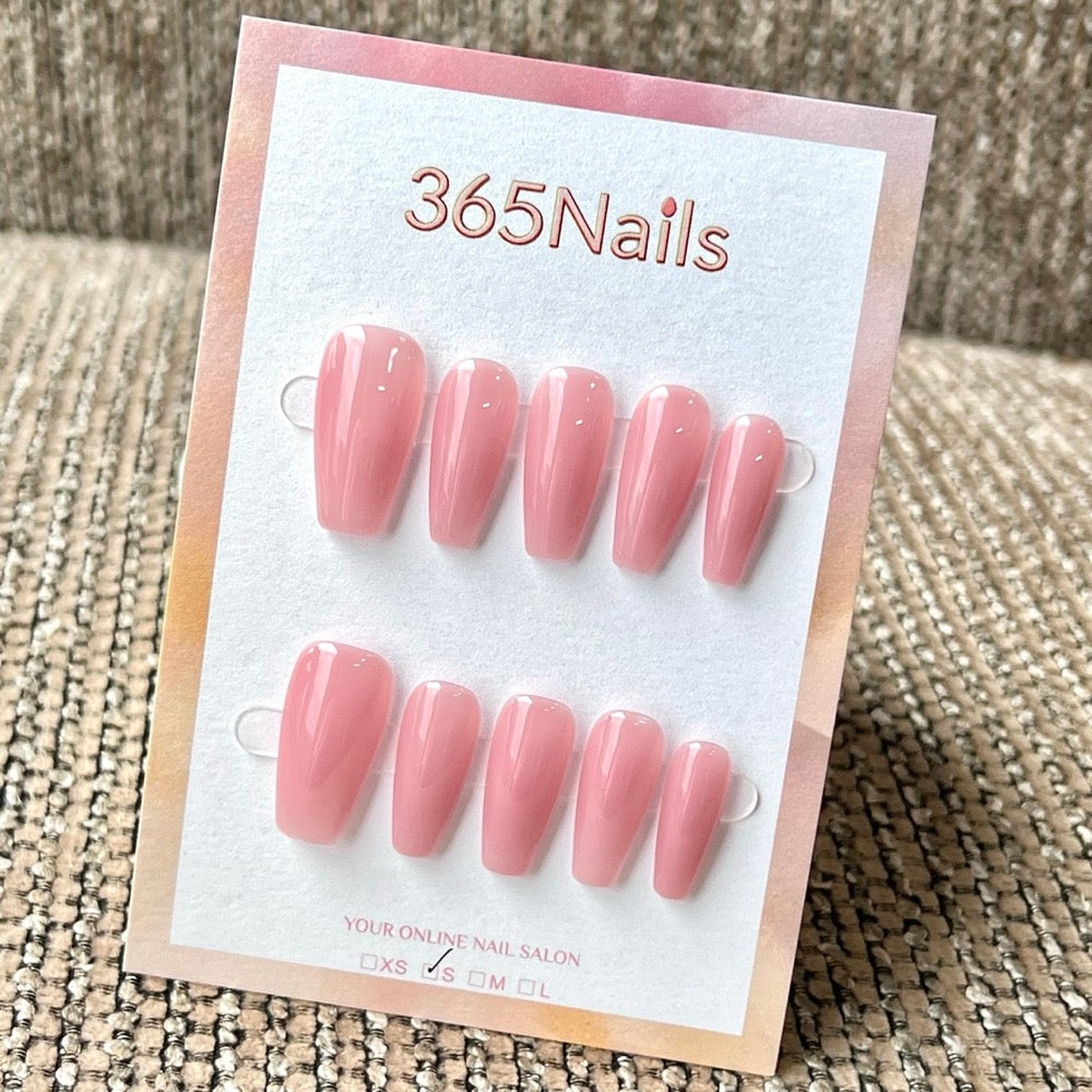 "Translucent Jelly Series" - 8 Colors & 6 Shapes Basic Mega Collection