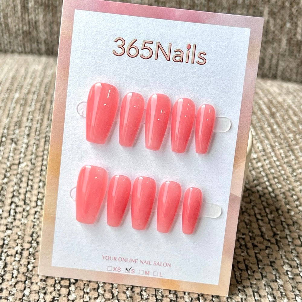 "Translucent Jelly Series" - 8 Colors & 6 Shapes Basic Mega Collection