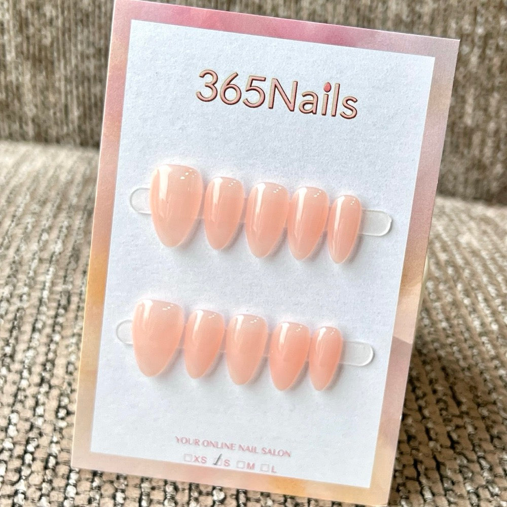 "Translucent Jelly Series" - 8 Colors & 6 Shapes Basic Mega Collection