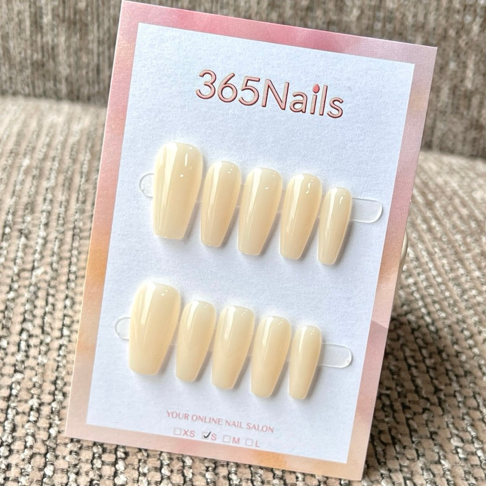 "Translucent Jelly Series" - 8 Colors & 6 Shapes Basic Mega Collection