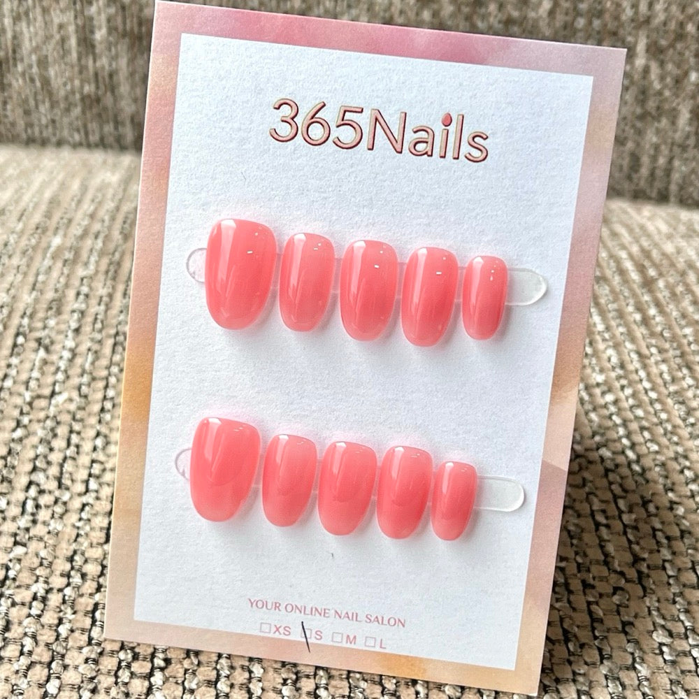 "Translucent Jelly Series" - 8 Colors & 6 Shapes Basic Mega Collection