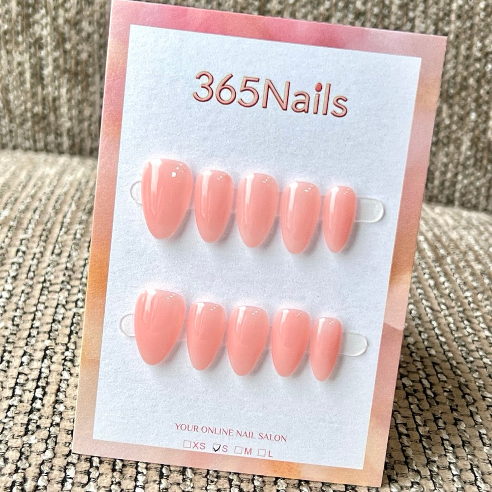 "Translucent Jelly Series" - 8 Colors & 6 Shapes Basic Mega Collection