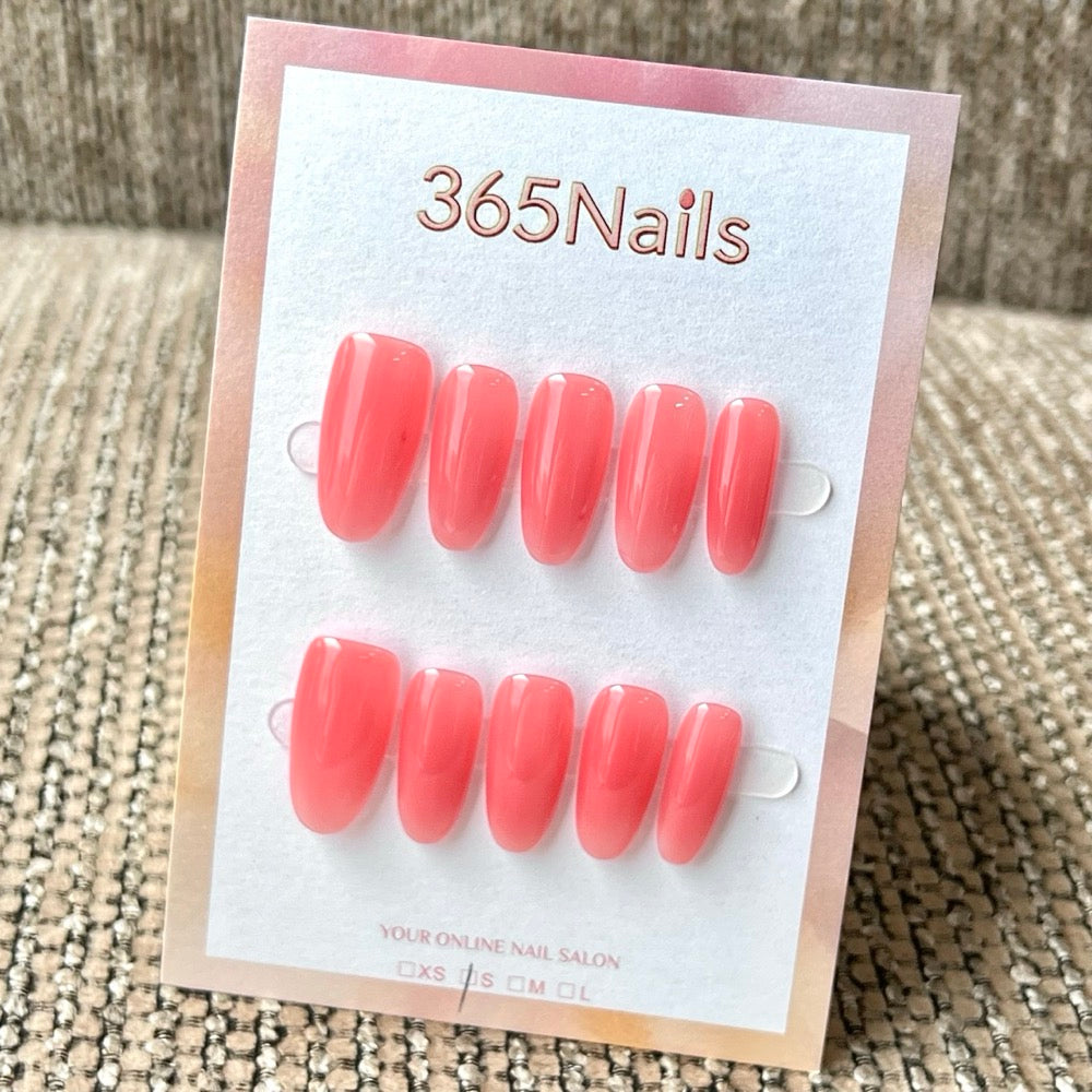"Translucent Jelly Series" - 8 Colors & 6 Shapes Basic Mega Collection