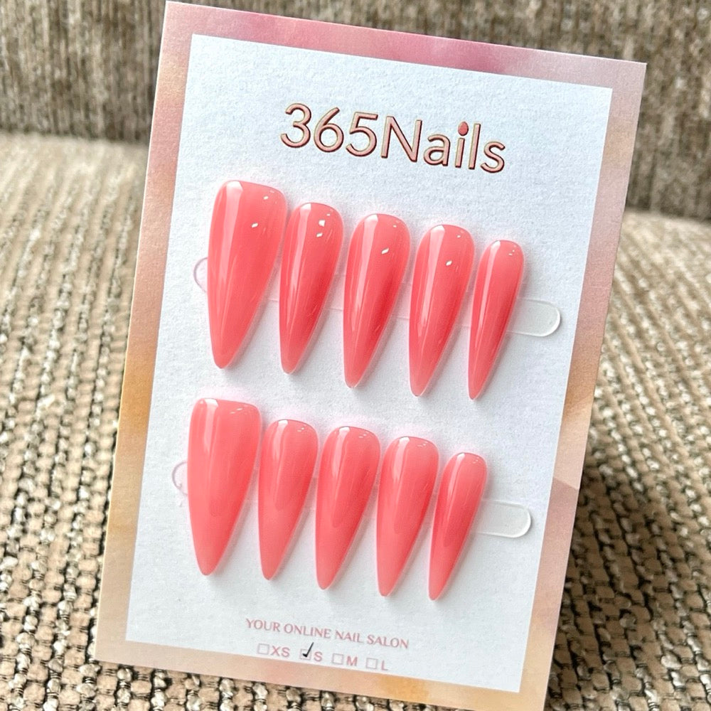 "Translucent Jelly Series" - 8 Colors & 6 Shapes Basic Mega Collection