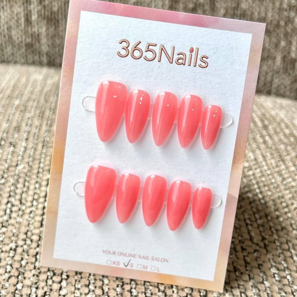 "Translucent Jelly Series" - 8 Colors & 6 Shapes Basic Mega Collection