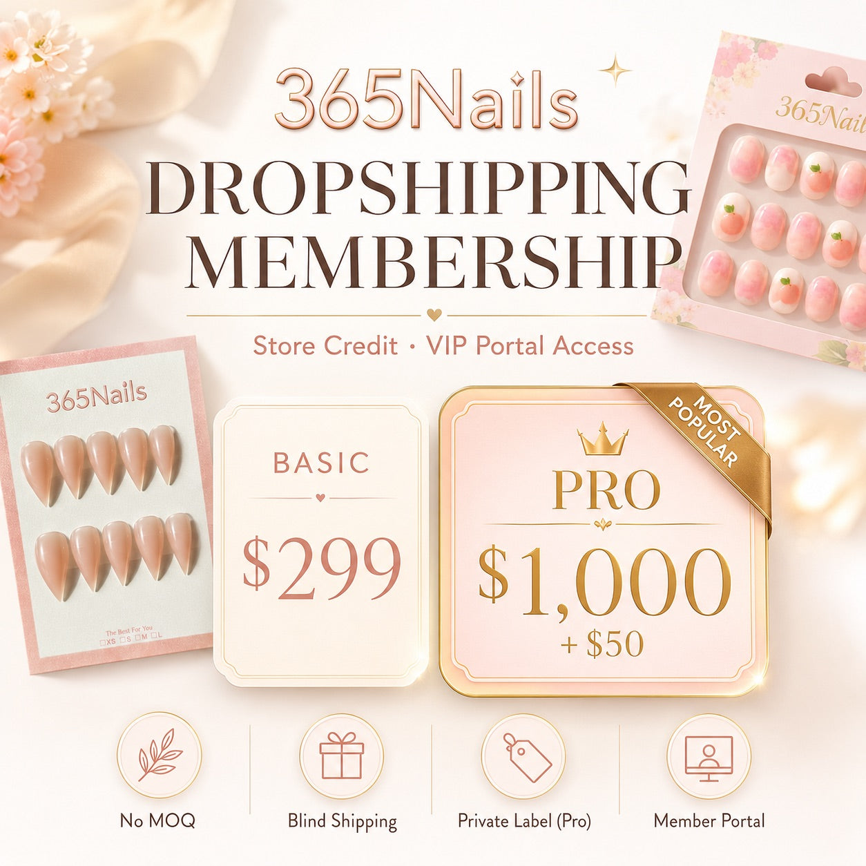 Dropship Pro 會員資格：$1,000 商店抵用金與 VIP 專屬權益