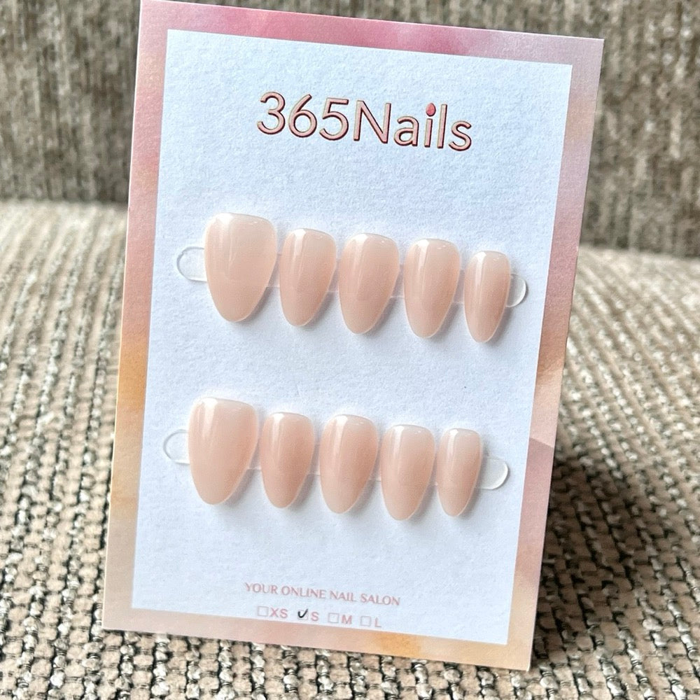 "Translucent Jelly Series" - 8 Colors & 6 Shapes Basic Mega Collection