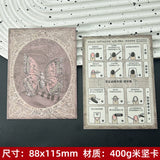 European Style Display Cards for Press On Nail Collections (MOQ=50)