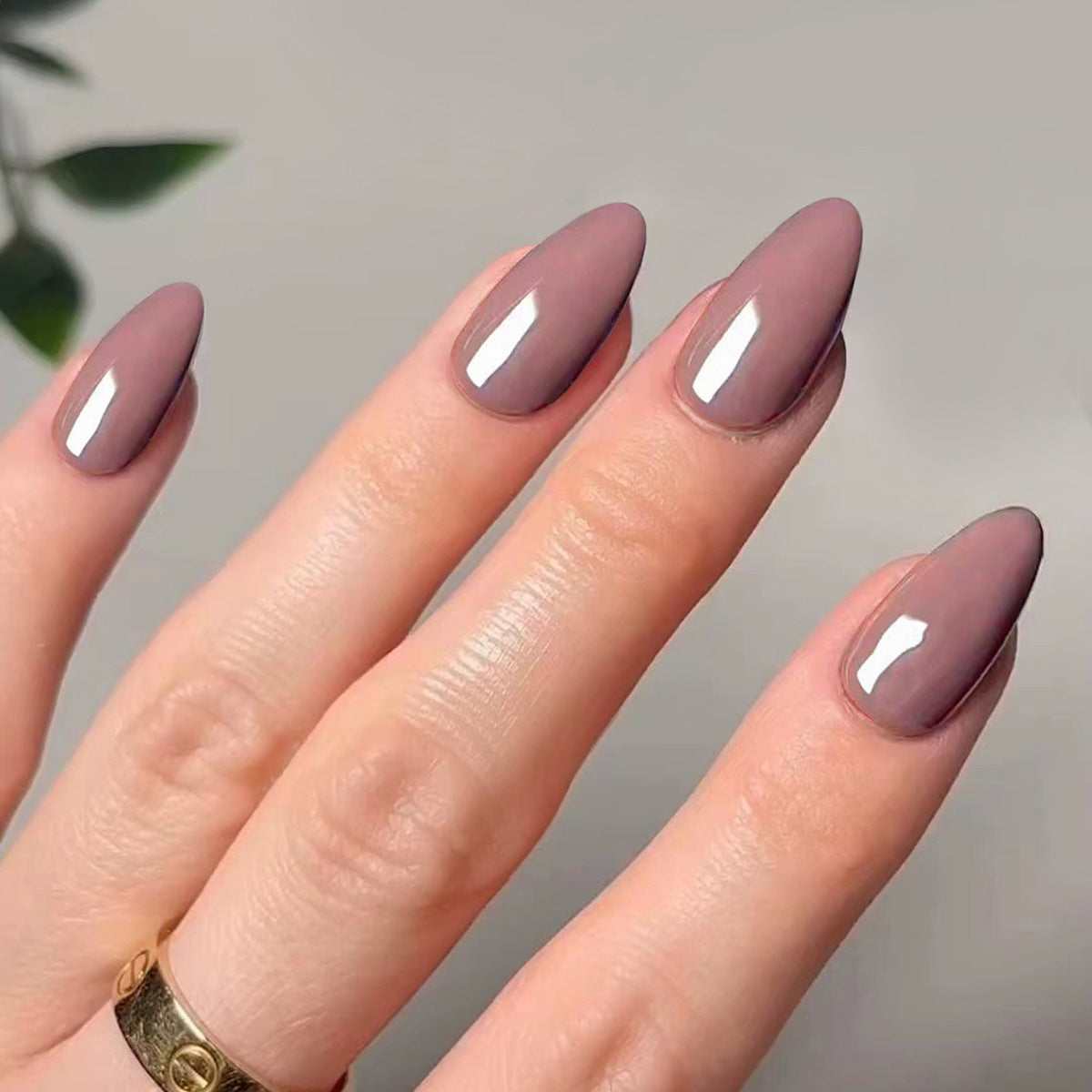 經典純色亮面可穿戴甲｜可拆卸成品批發｜365nails