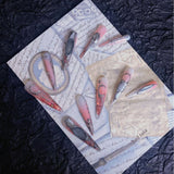 The Art Edit · Chrome Moon Coral