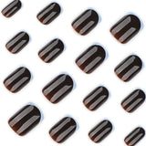 Brown Glossy Nails with Soft Blue French Tips