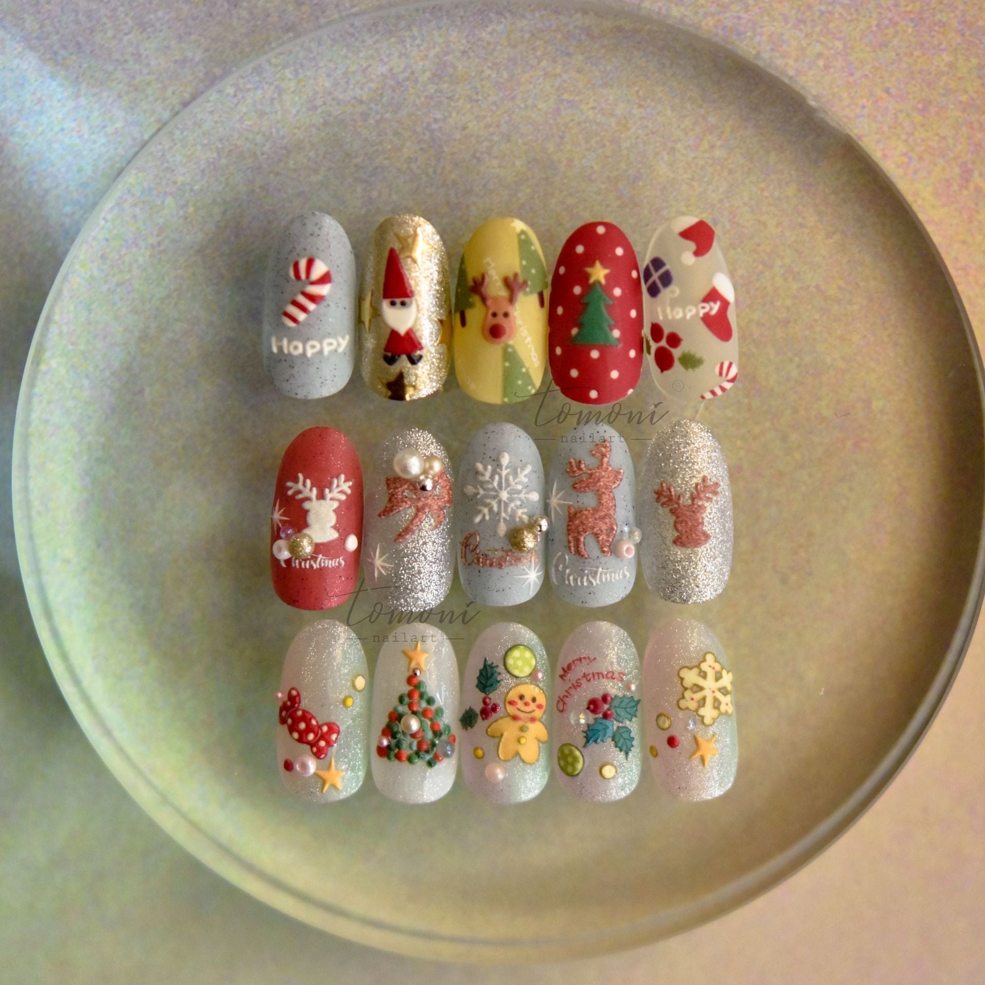 Merry Christmas – Festive Nail Art Set