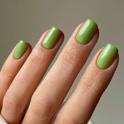 Classic solid color  color s red short square manicure  wholesale｜365nails