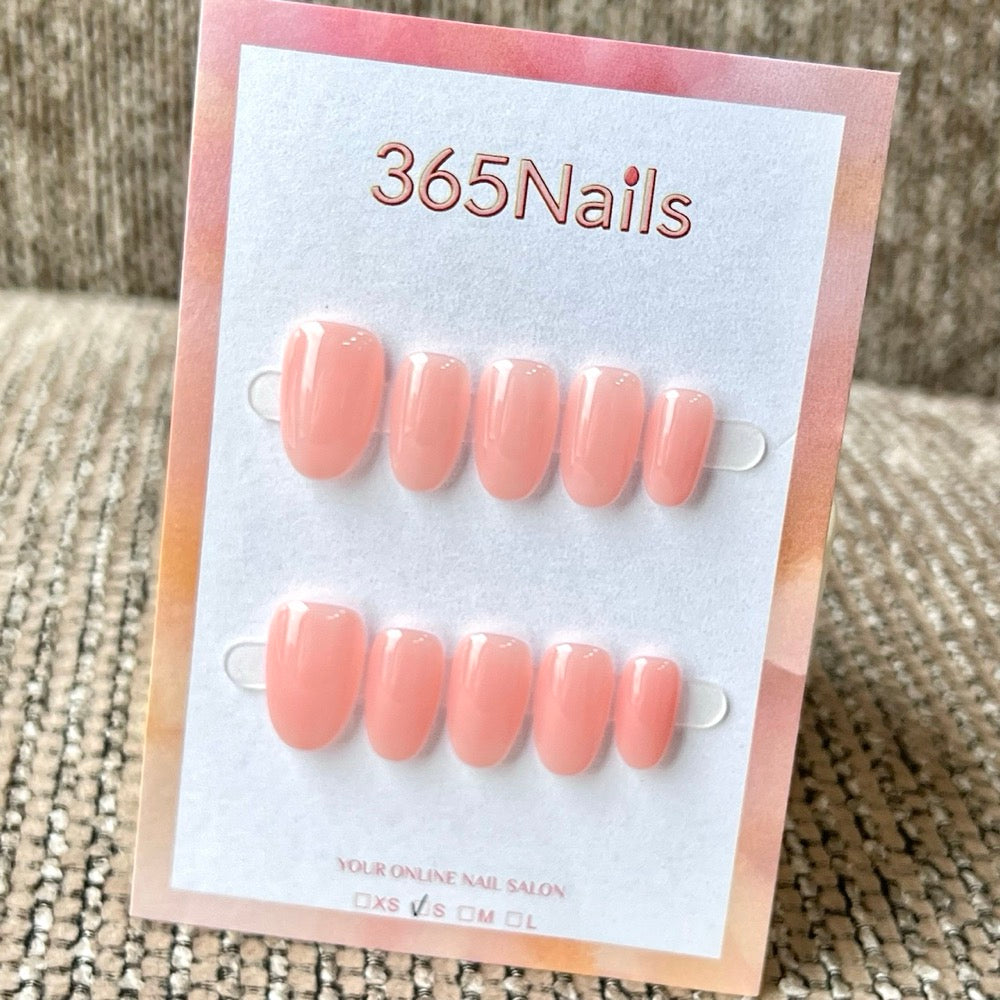 "Translucent Jelly Series" - 8 Colors & 6 Shapes Basic Mega Collection