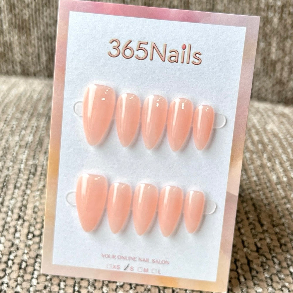 "Translucent Jelly Series" - 8 Colors & 6 Shapes Basic Mega Collection