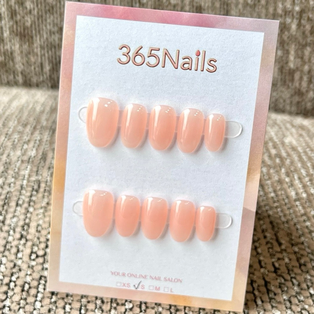 "Translucent Jelly Series" - 8 Colors & 6 Shapes Basic Mega Collection