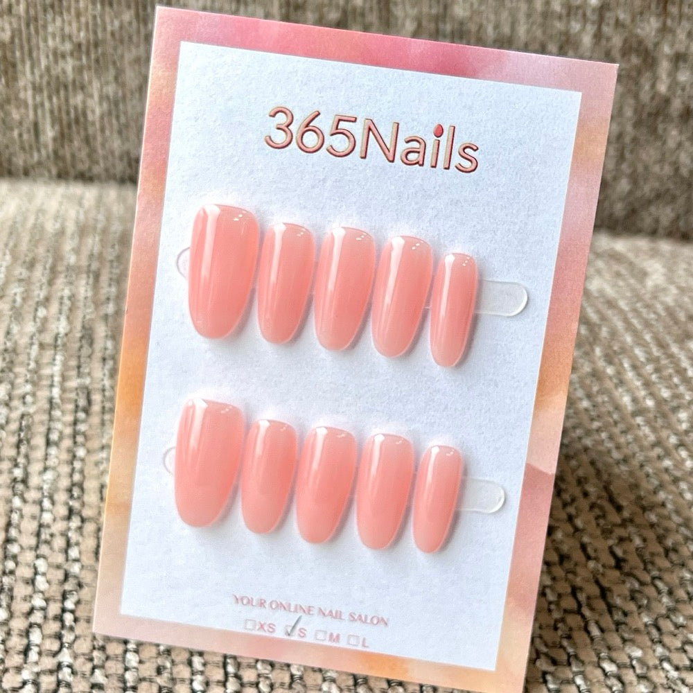 "Translucent Jelly Series" - 8 Colors & 6 Shapes Basic Mega Collection