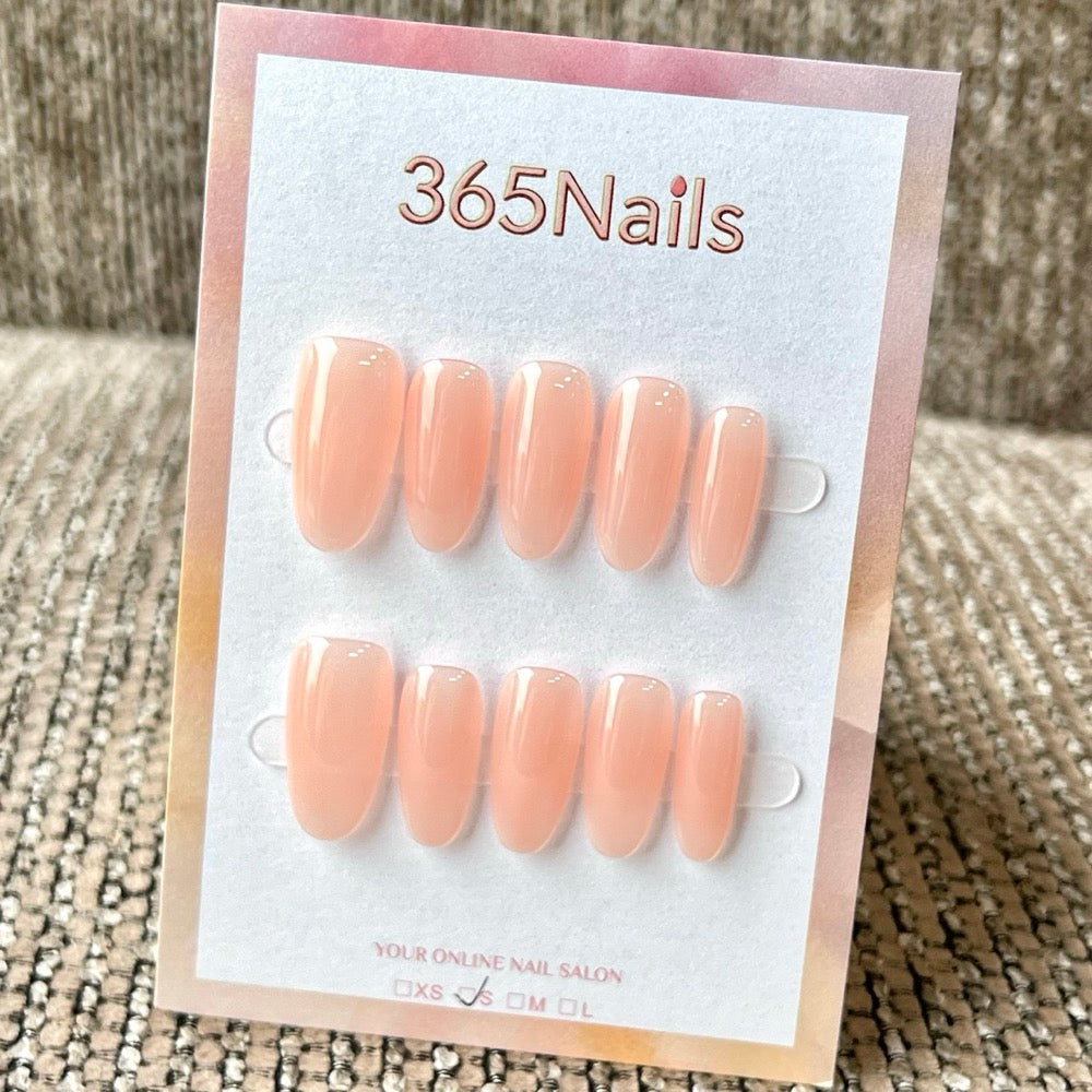 "Translucent Jelly Series" - 8 Colors & 6 Shapes Basic Mega Collection