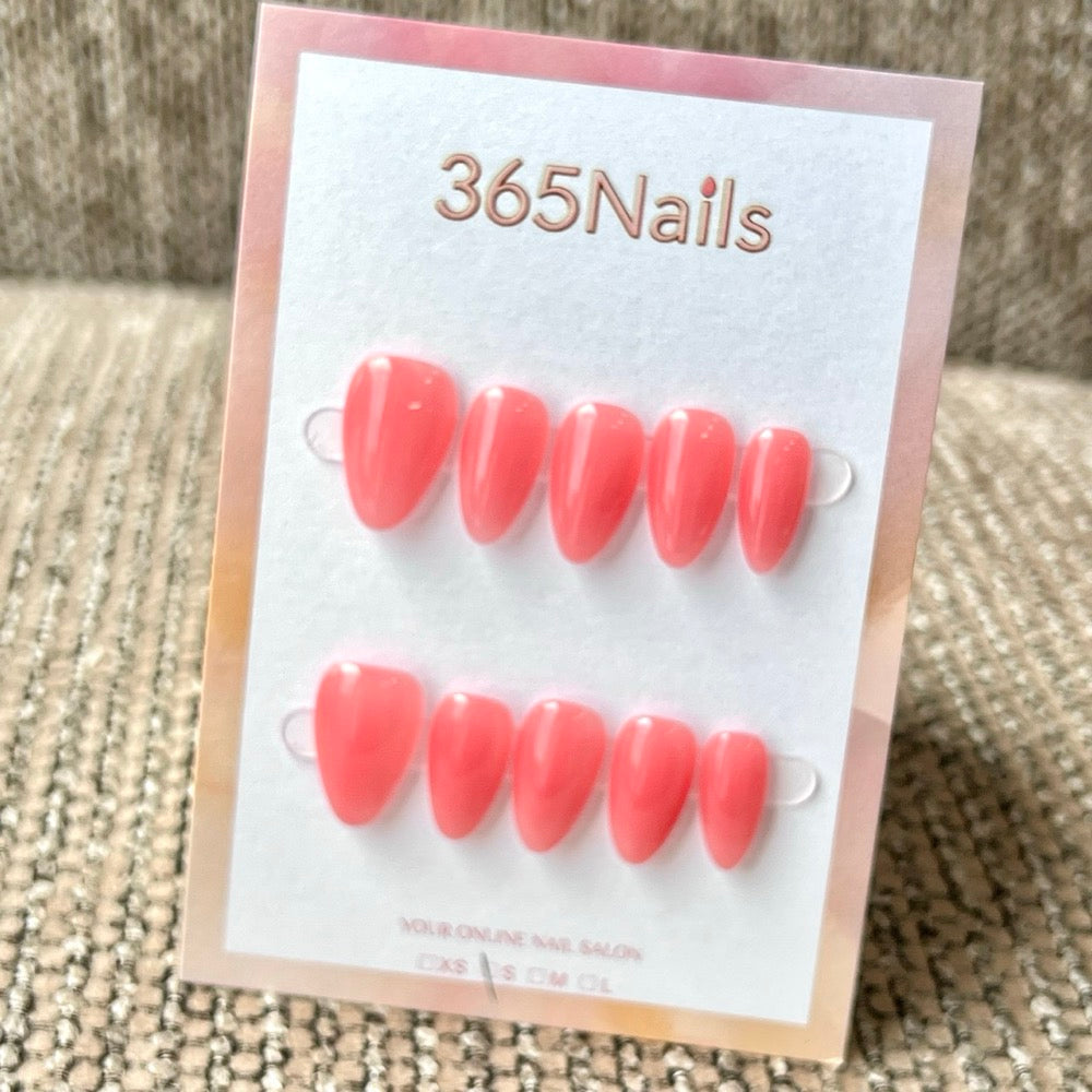"Translucent Jelly Series" - 8 Colors & 6 Shapes Basic Mega Collection
