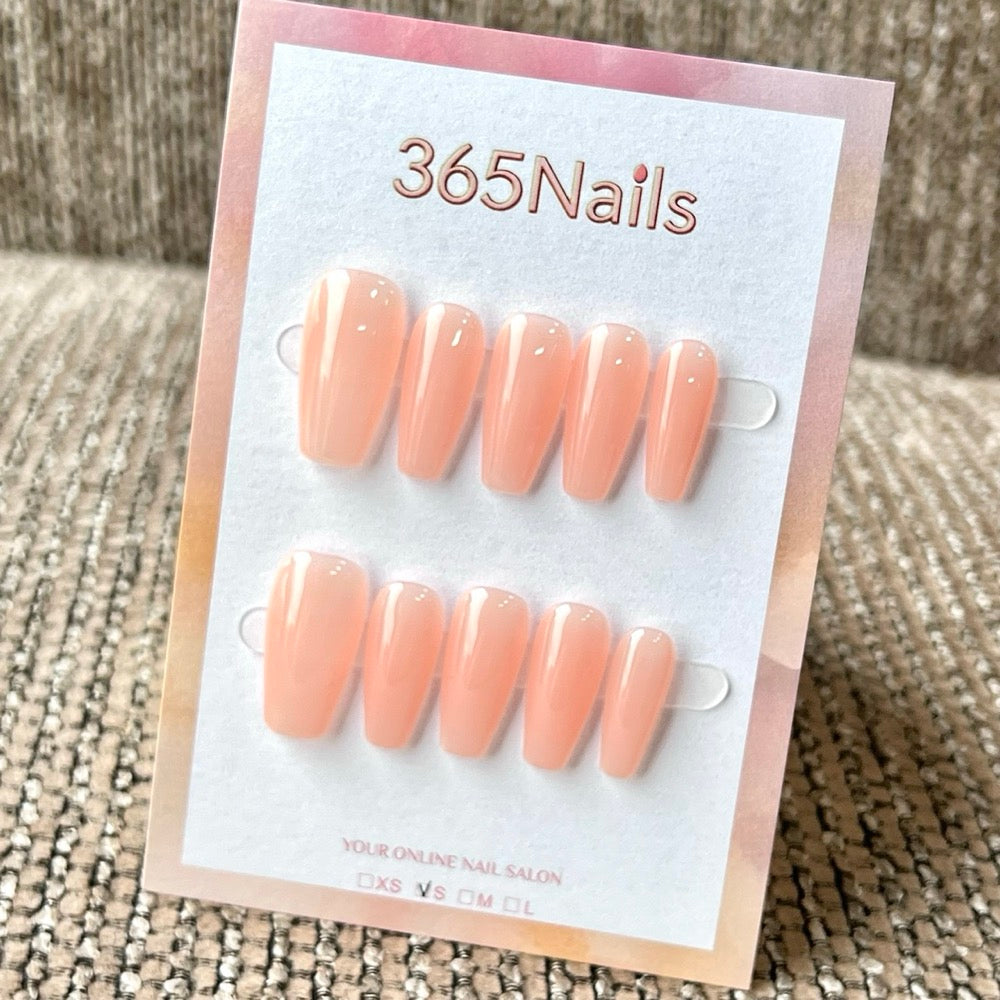 "Translucent Jelly Series" - 8 Colors & 6 Shapes Basic Mega Collection