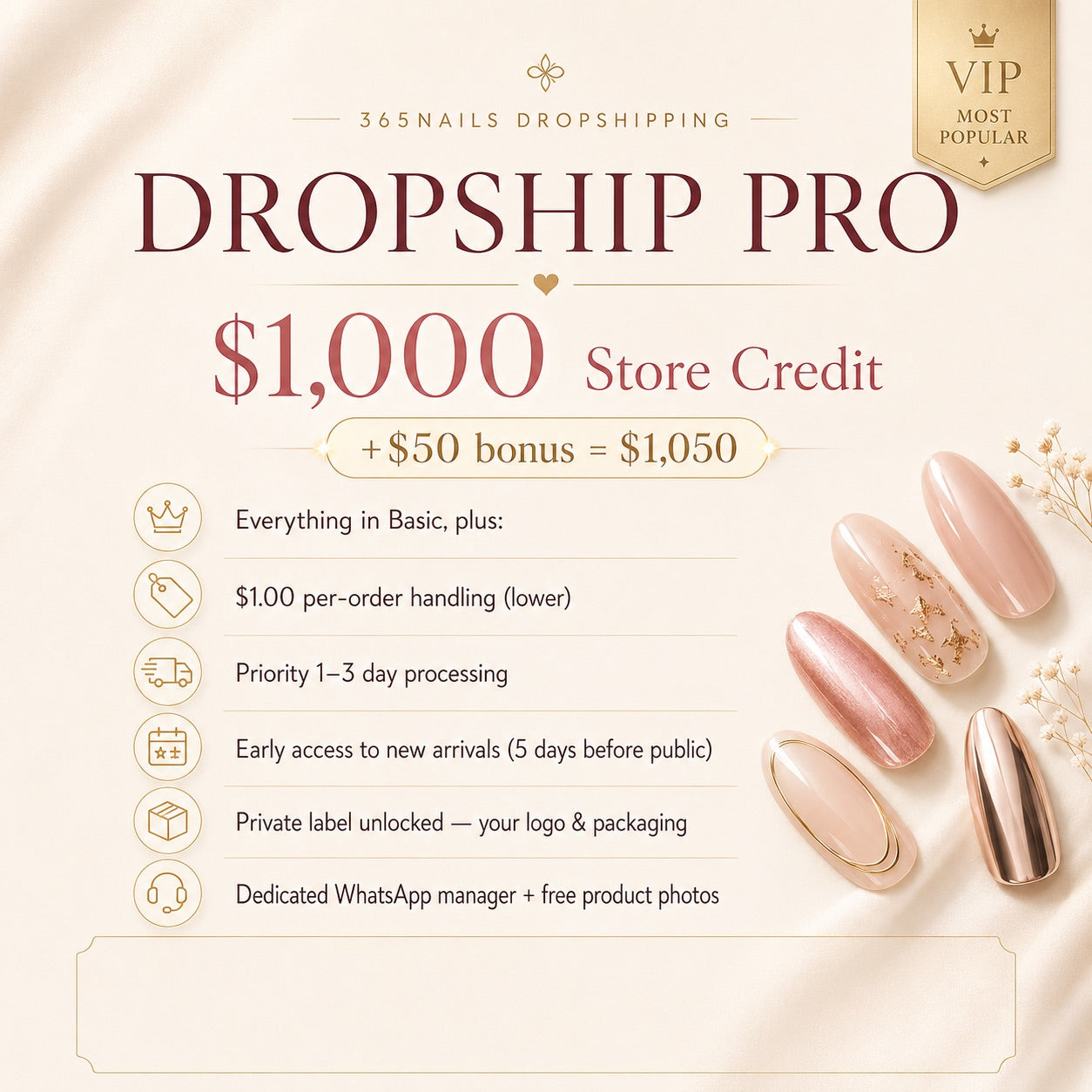 Dropship Pro 會員資格：$1,000 商店抵用金與 VIP 專屬權益