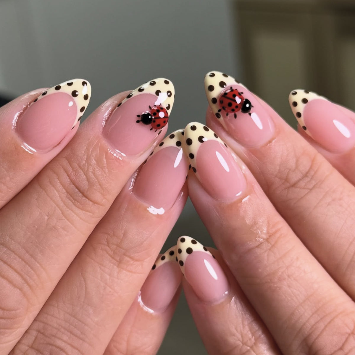 Hand wearing glossy pink almond press-on nails with cream french tips, black polka dots and a 3D ladybug charm