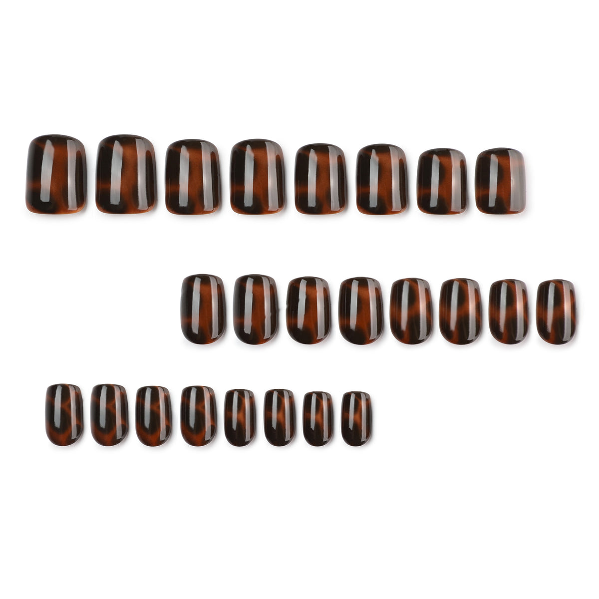 Set of 24 glossy tortoiseshell press-on nails arranged in three rows