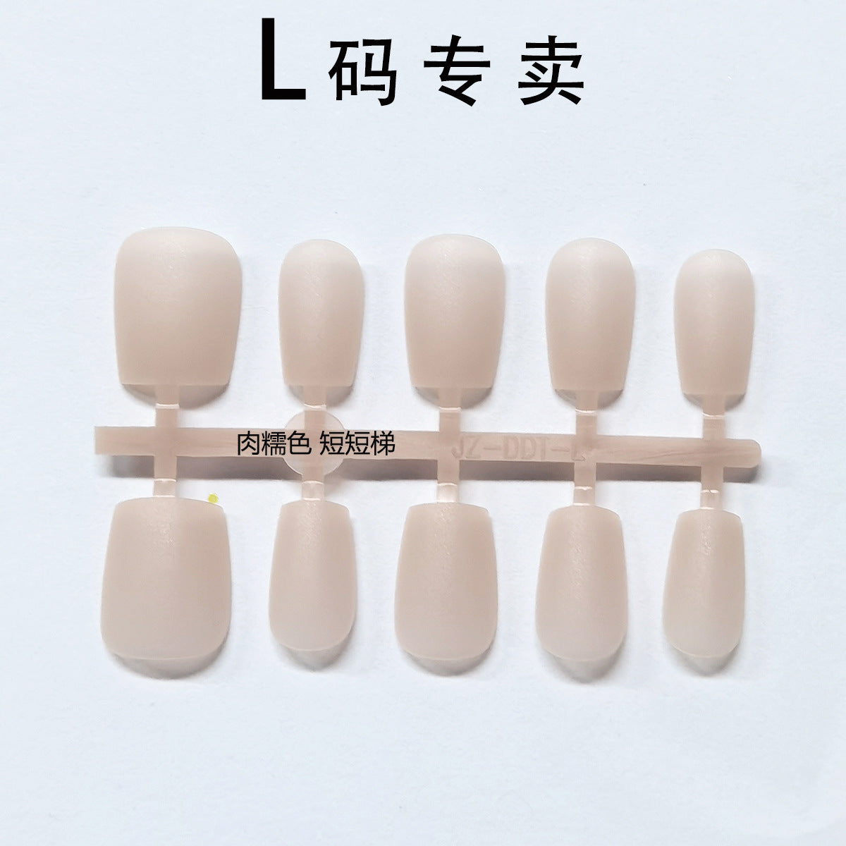 Large L-Size PMMA Matte Nude Press-On Nail Blanks - No Etching Required