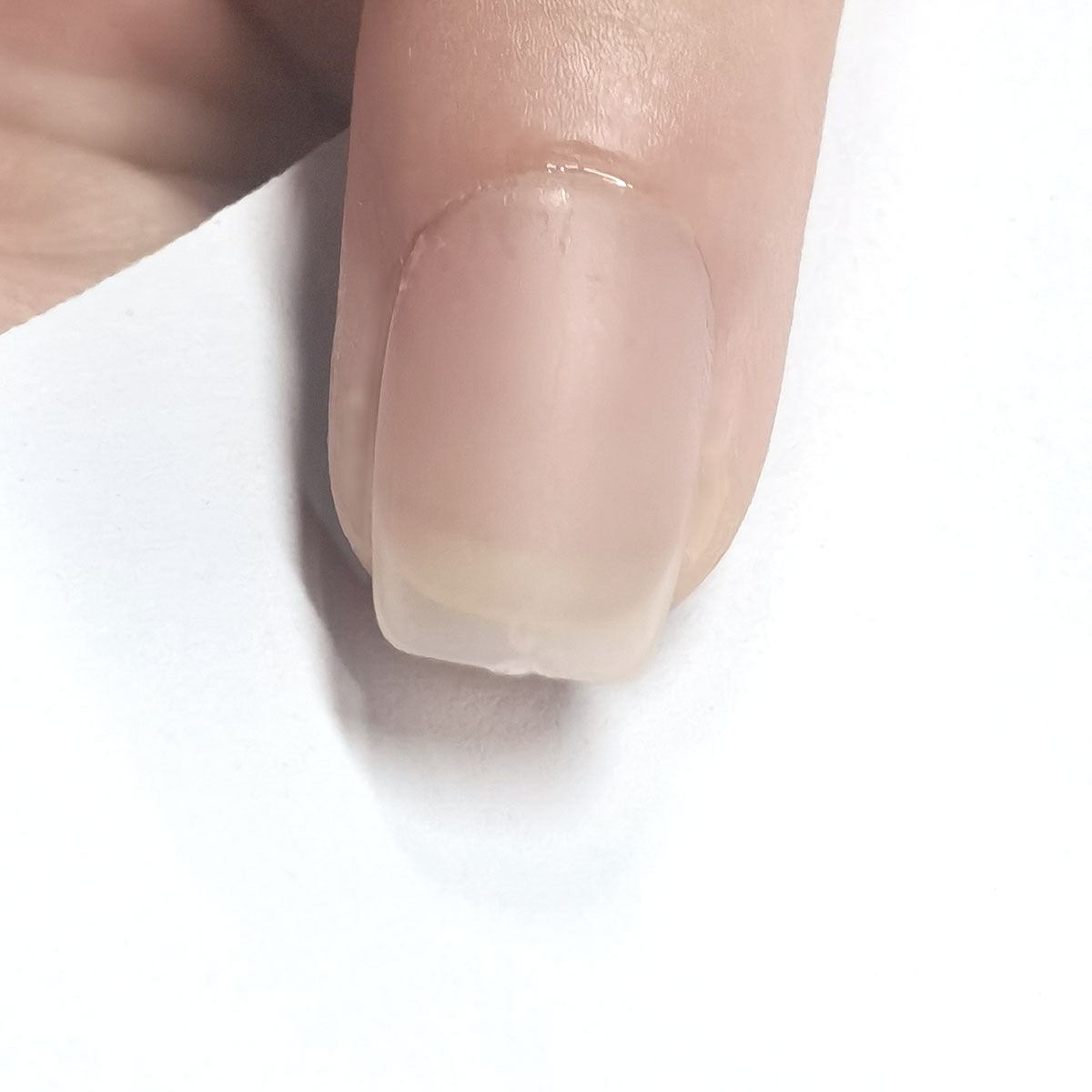 Light Nude Press-On Nail Blanks - Assorted Shapes & Lengths